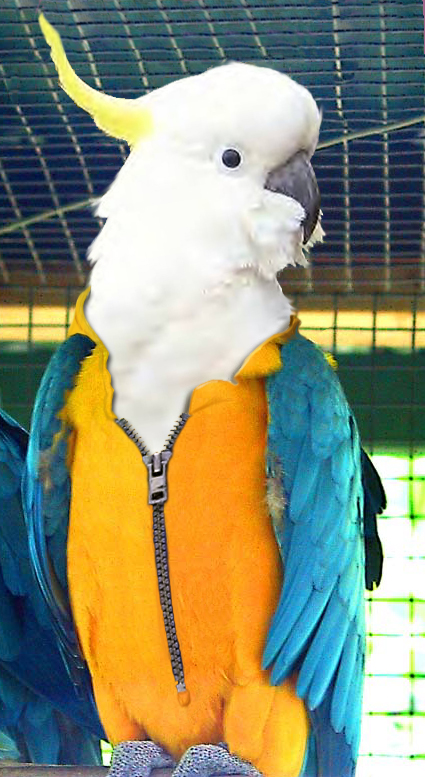 Photoshop Design by brypro63 for DesignCrowd (Community Contests) | Design #9067308