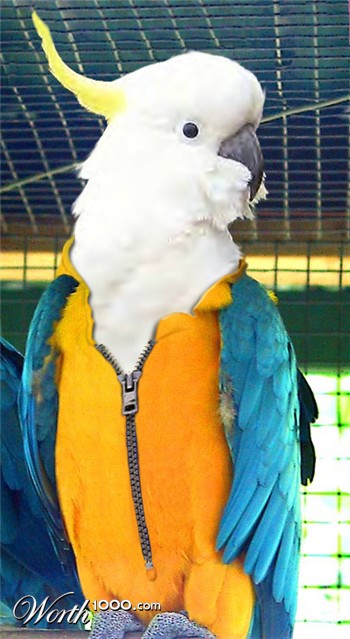 Photoshop Design by brypro63