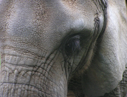 Photographie par klxner pour DesignCrowd (Community Contests) | Design #9076500