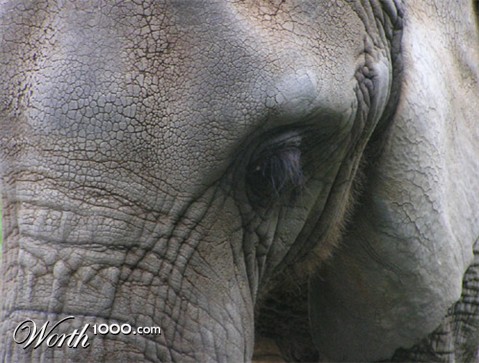 Photography by klxner