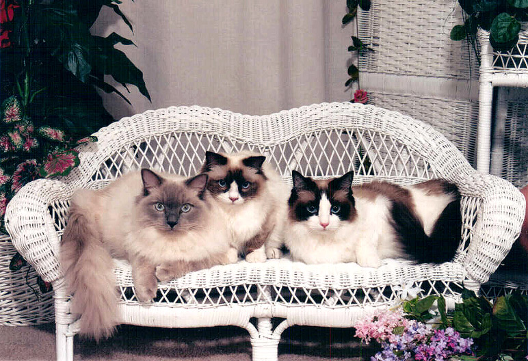 Photography by FRWalters for DesignCrowd (Community Contests) | Design #9077510