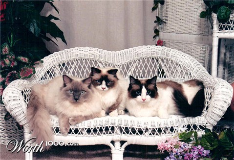 Photography by FRWalters