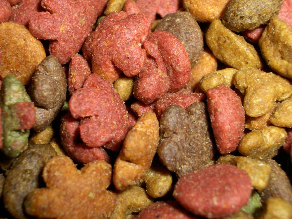 Fotografía por zymark para DesignCrowd (Community Contests) | Diseño #9076521