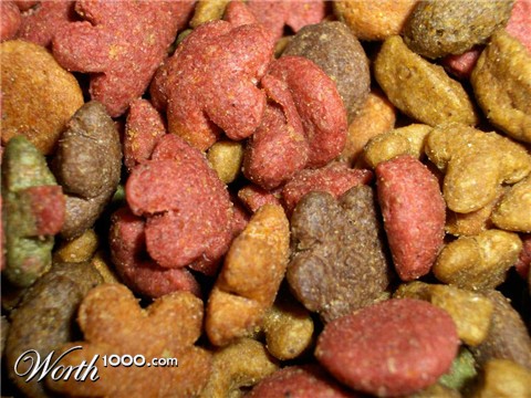 Photography by zymark