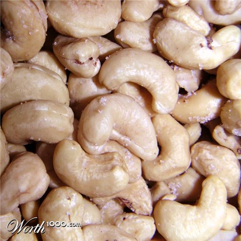 Photography by MonkeyWiz