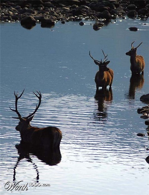 Photography by Marian