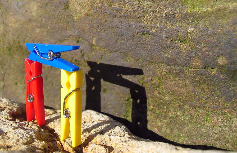 Fotografie von egonlinden für DesignCrowd (Community Contests) | Design #9077542