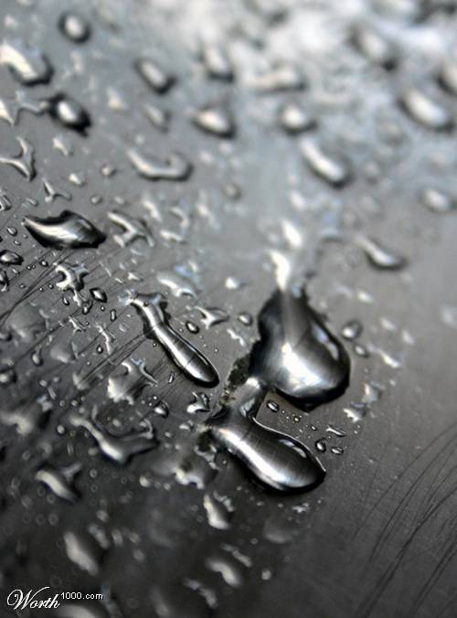 Photographie par traxter pour DesignCrowd (Community Contests) | Design #9076541