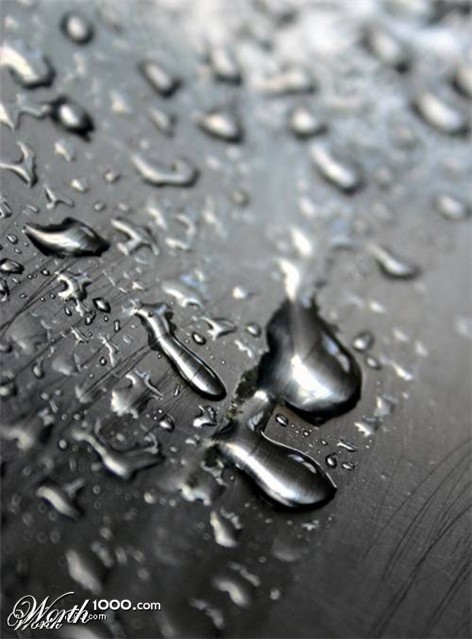 Photography by traxter