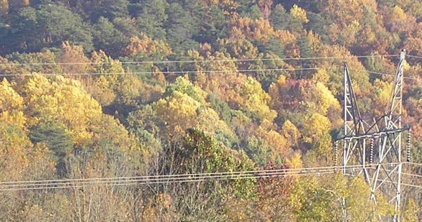 Photographie par shellss11 pour DesignCrowd (Community Contests) | Design #9076558