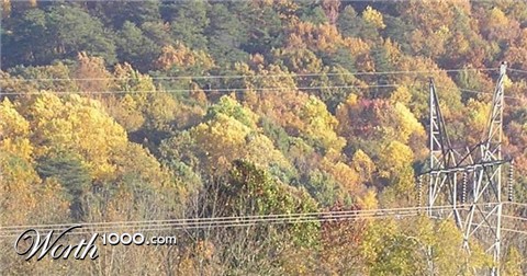 Photography by shellss11