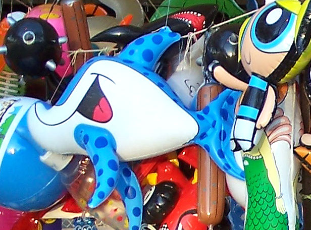 Photography by birdbluff for DesignCrowd (Community Contests) | Design #9076595