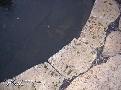 Photography by EddaRos