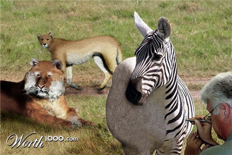Photoshop Design by Bartman