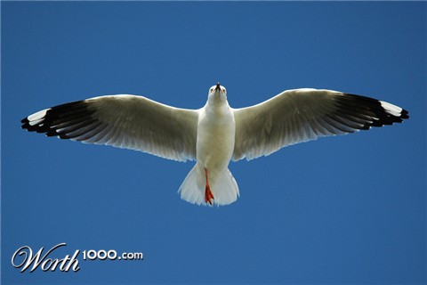 Photography by kimbomac