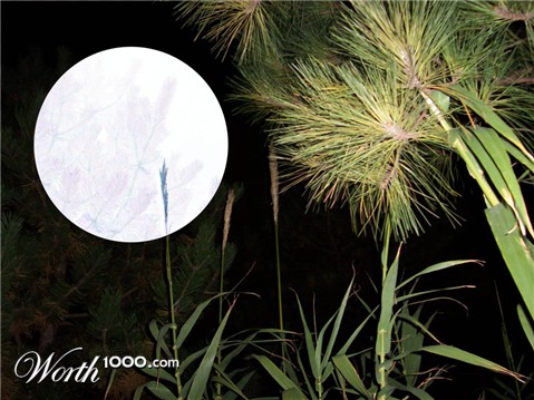 Photography by almostperfect