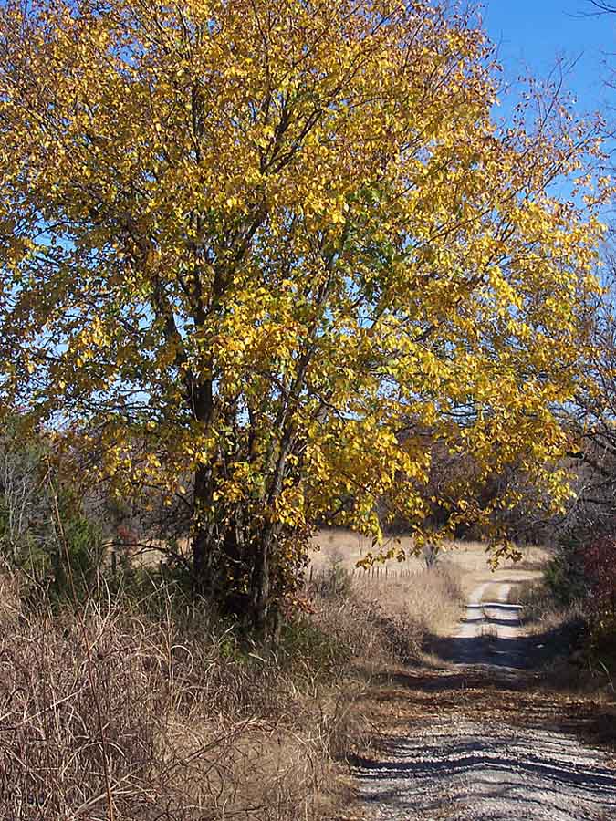 Photography by almostperfect for DesignCrowd (Community Contests) | Design #9067556