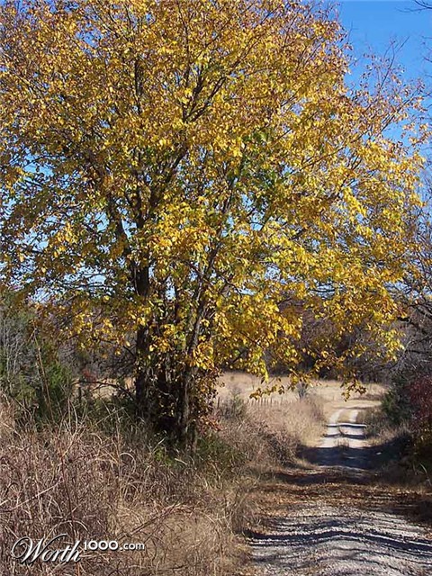 Photography by almostperfect