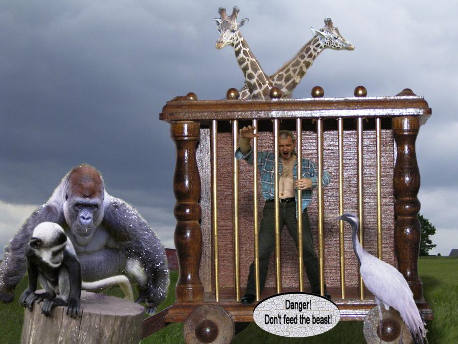 Design Photoshop par ebvbaer pour DesignCrowd (Community Contests) | Design #9063419