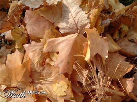 Photography by RickF413