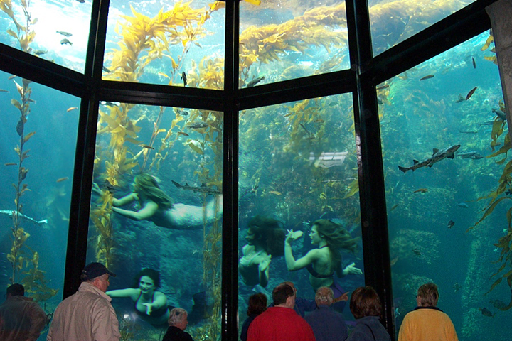 Diseño de Photoshop por corwin1 para DesignCrowd (Community Contests) | Diseño #9063421