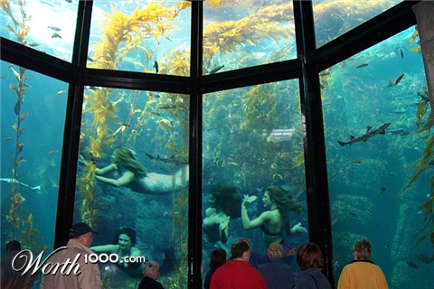 Photoshop Design by corwin1