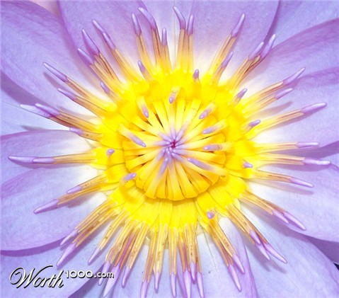 Photography by kikcolon