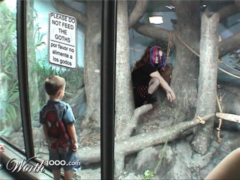 Photoshop Design by AStranger