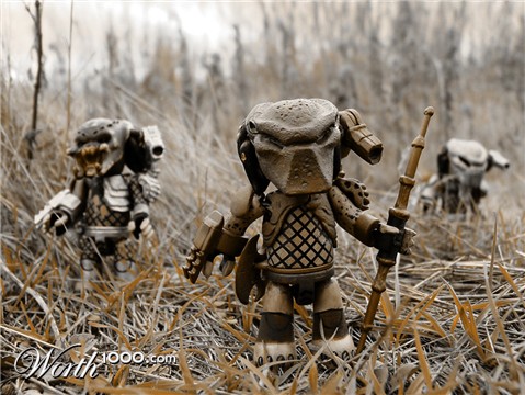 Photography by mysterio