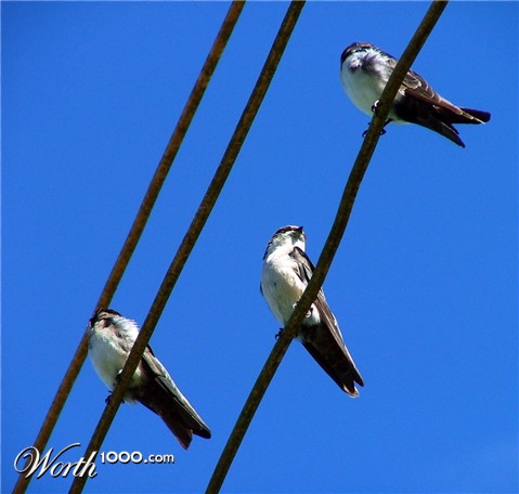 Photography by ADROALDO