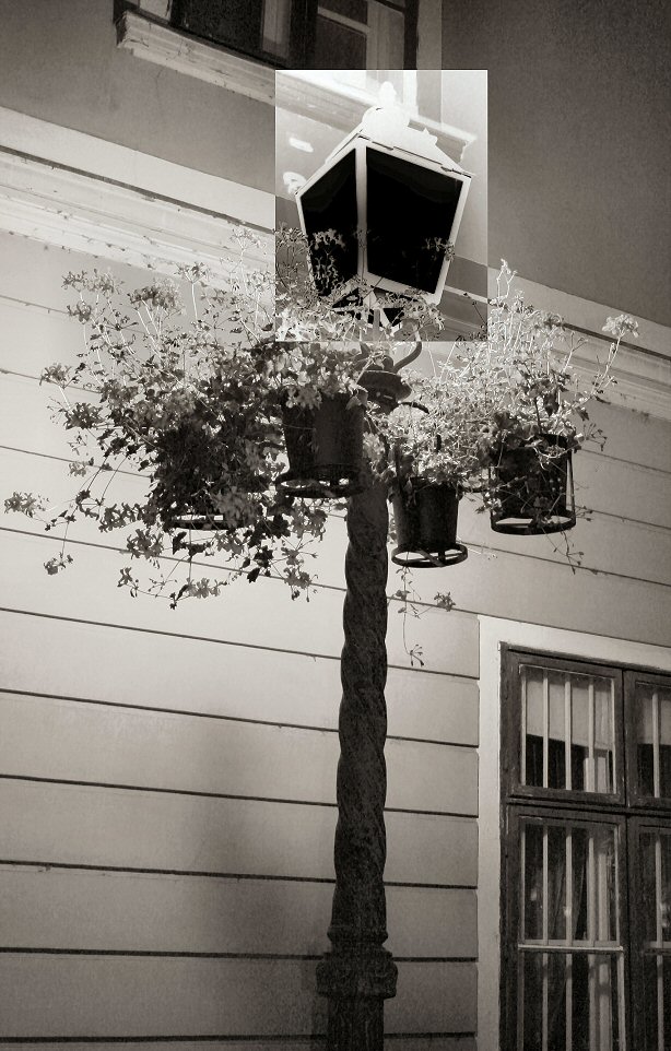 Fotografía por Juicer para DesignCrowd (Community Contests) | Diseño #9068664