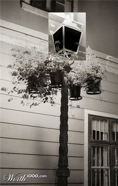 Photography by Juicer