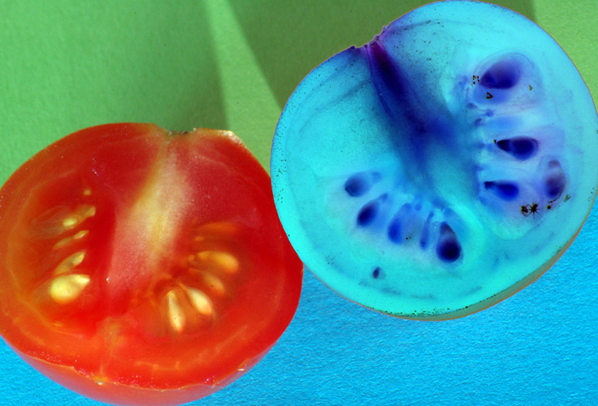 Photography by kimbomac for DesignCrowd (Community Contests) | Design #9068689