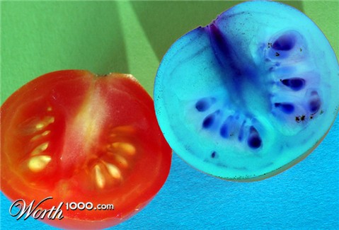 Photography by kimbomac