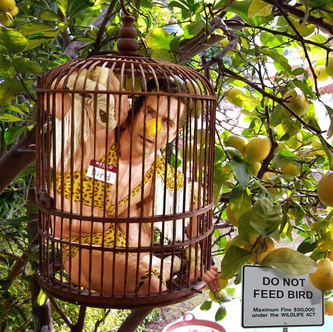 Photoshop Design by Partyshot for DesignCrowd (Community Contests) | Design #9063435