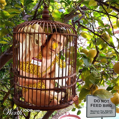 Photoshop Design by Partyshot