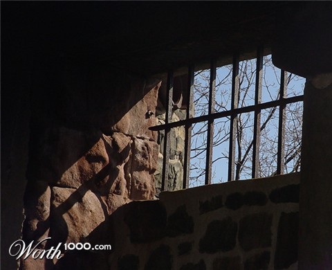 Photography by LADPUPMOE