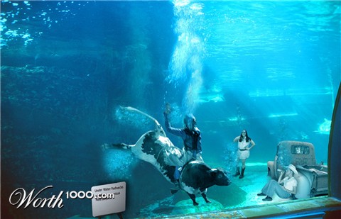 Photoshop Design by majkie