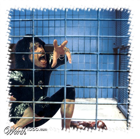 Photoshop Design by alphalocer