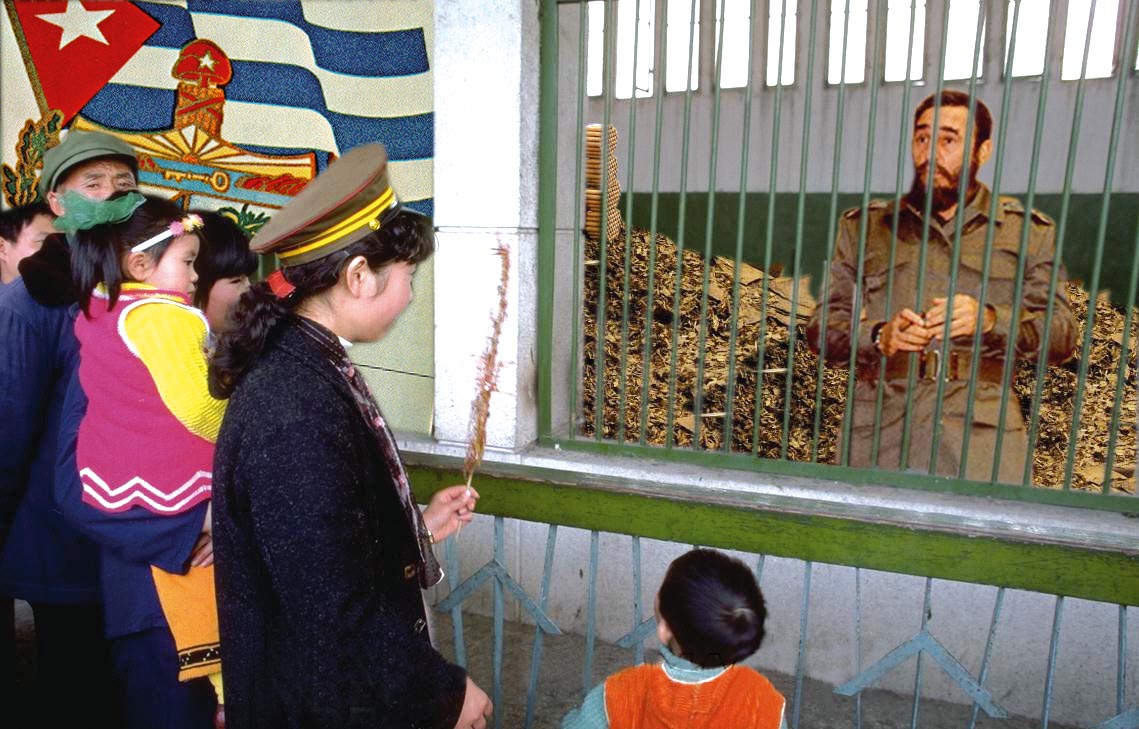 Photoshop Design by JYDANYEL for DesignCrowd (Community Contests) | Design #9063523