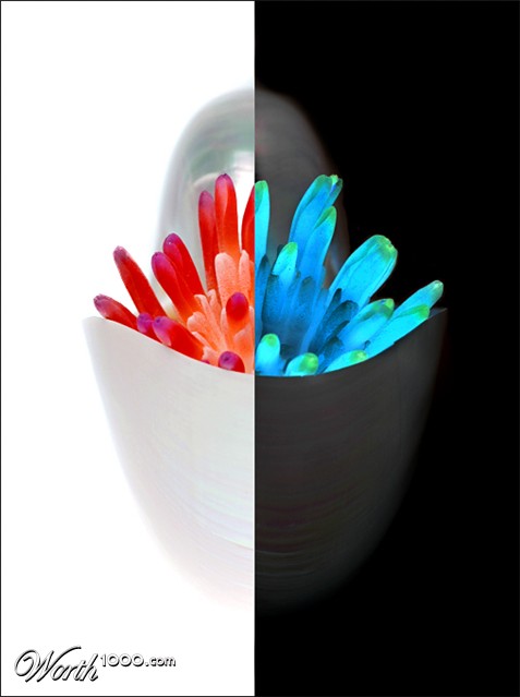 Photography by koalachimbo