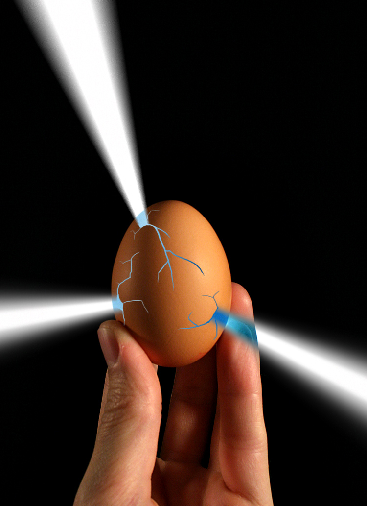 Photography by wiebeiw for DesignCrowd (Community Contests) | Design #9068668