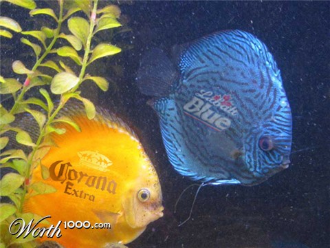 Photoshop Design by my79spirit