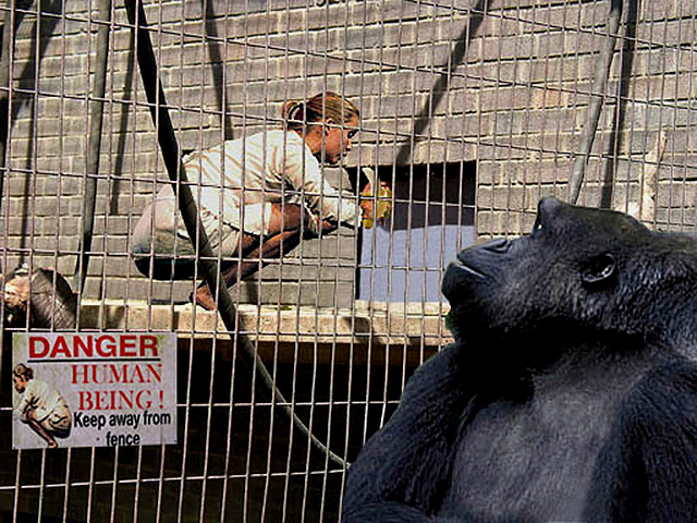 Photoshop Design by StrangeWorld for DesignCrowd (Community Contests) | Design #9063501