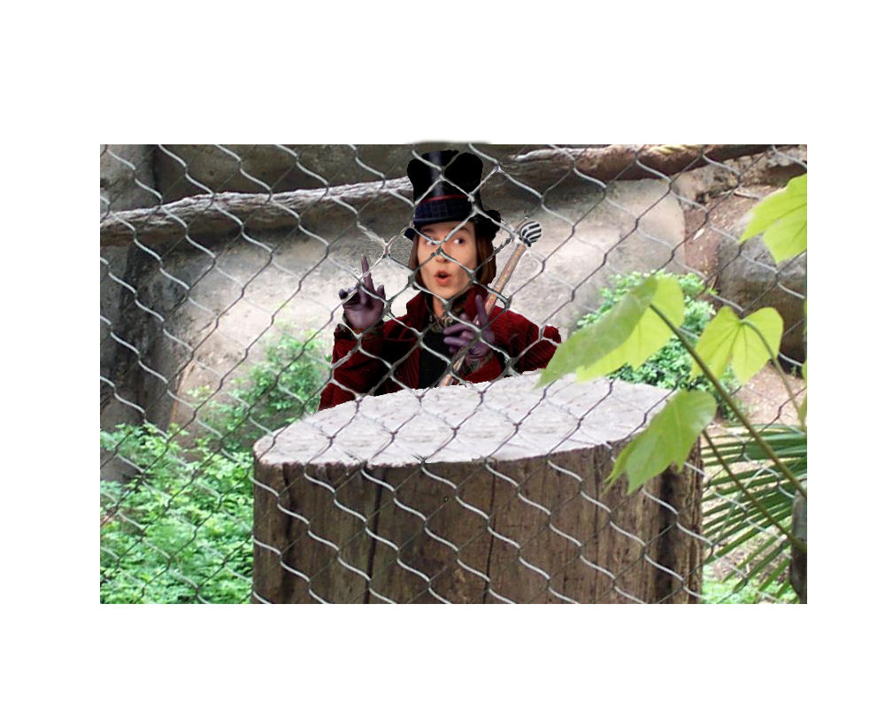 Photoshop-Design von Jamiesnitz für DesignCrowd (Community Contests) | Design #9063574