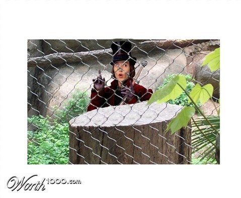 Photoshop Design by Jamiesnitz