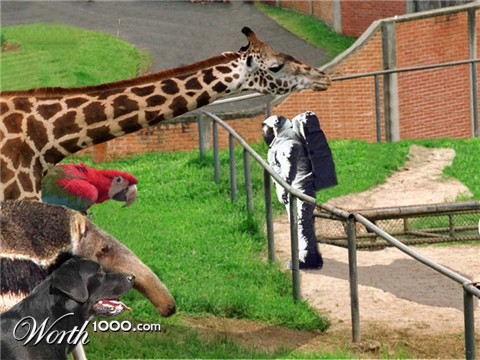 Photoshop Design by leosuperleo