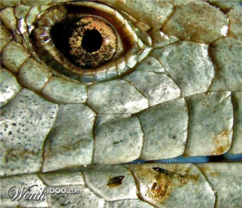 Photography by ozplasmic