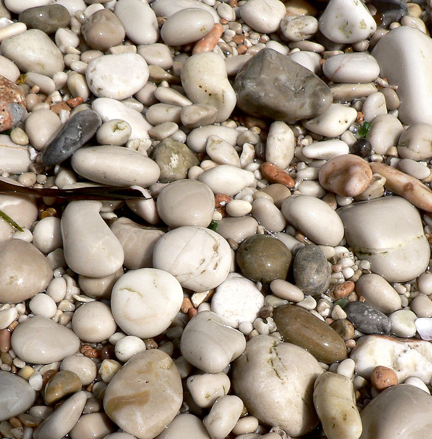 Fotografie von jandreu für DesignCrowd (Community Contests) | Design #9076725