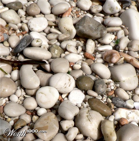 Photography by jandreu